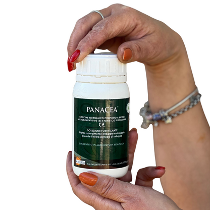 Panacea