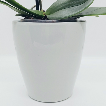 Vaso Ceramica &quot;Milano&quot; Ghiaccio 14cm