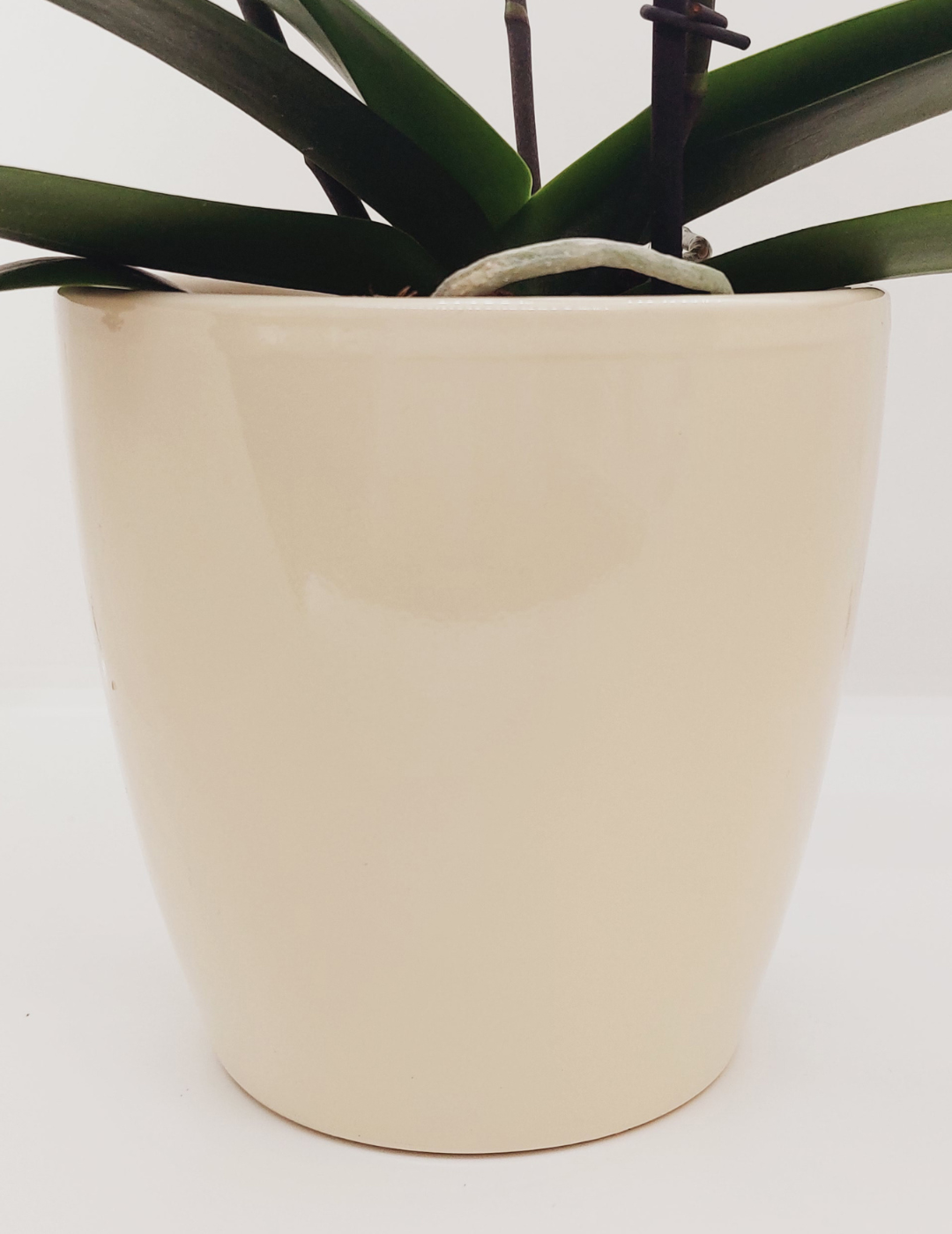 Vaso Ceramica &quot;Milano&quot; Crema 14cm