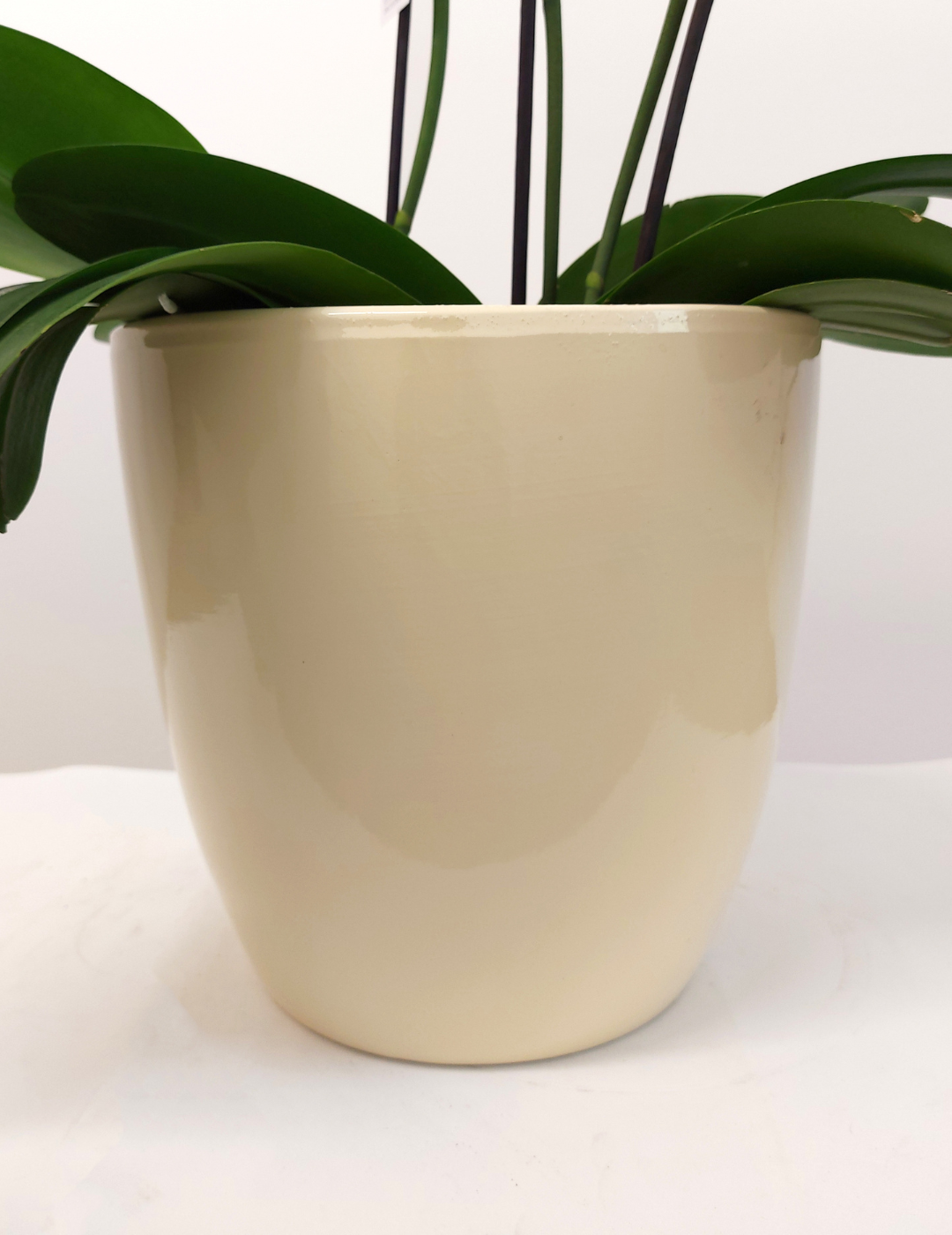 Vaso Ceramica &quot;Milano&quot; Sabbia 21cm