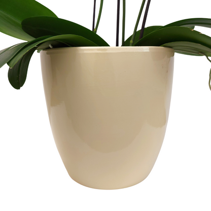 Vaso Ceramica &quot;Milano&quot; Crema 21cm