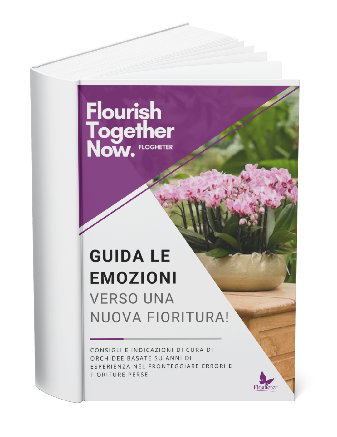 Ebook: Guida le emozioni verso una nuova fioritura