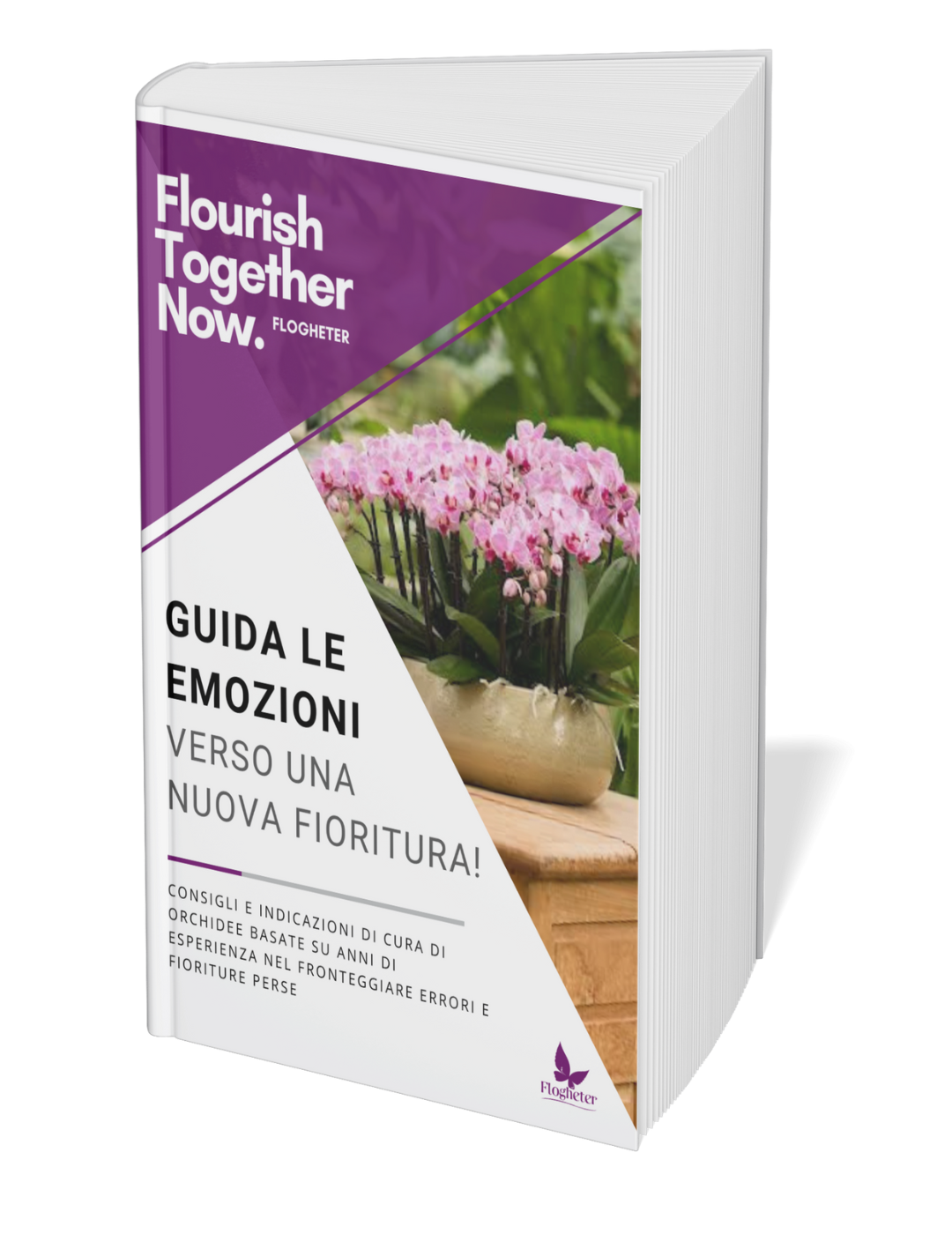 Ebook: Guida le emozioni verso una nuova fioritura