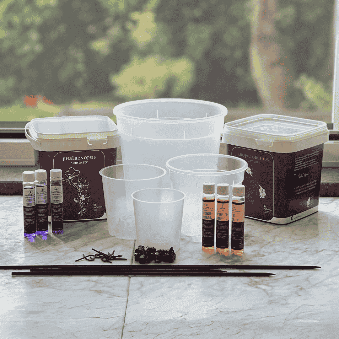 Kit Coltivazione Orchidea Tropicali
