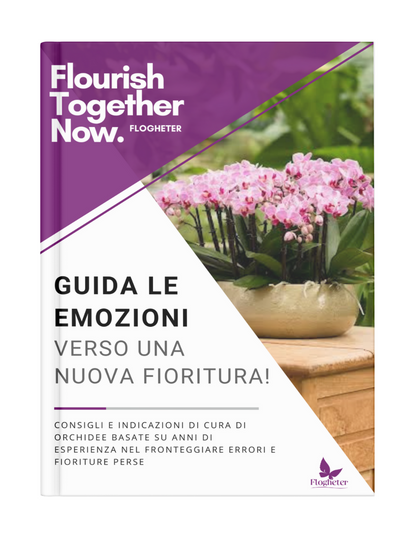 Ebook: Guida le emozioni verso una nuova fioritura