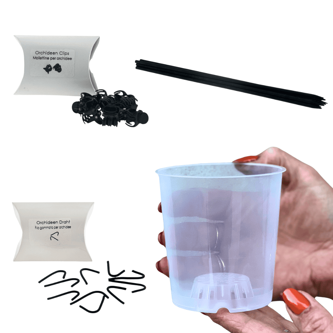 Kit Accessori