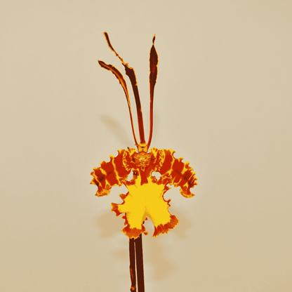 Psychopsis