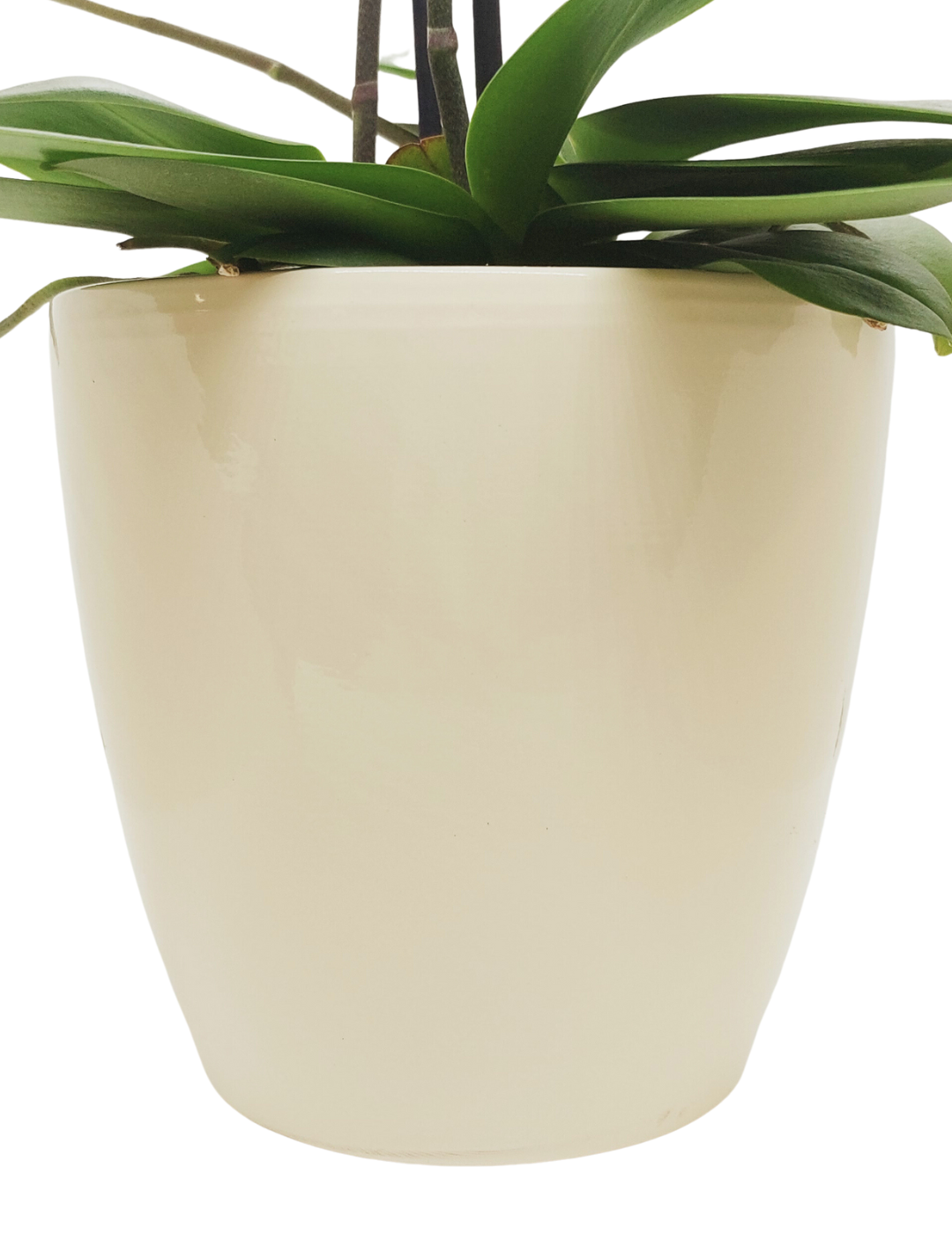 Vaso Ceramica &quot;Milano&quot; Crema 21cm