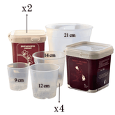 Kit Rinvaso Orchidee - 