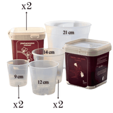 Kit Rinvaso Orchidee - 