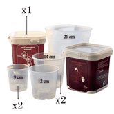 Kit Rinvaso Orchidee - 