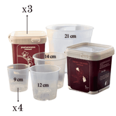 Kit Rinvaso Orchidee - 