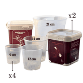 Kit Rinvaso Orchidee - 