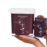 Terriccio (Bark) + Concime per Orchidee - 