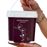 Terriccio (Bark) per Orchidee "Raffeiner" - 