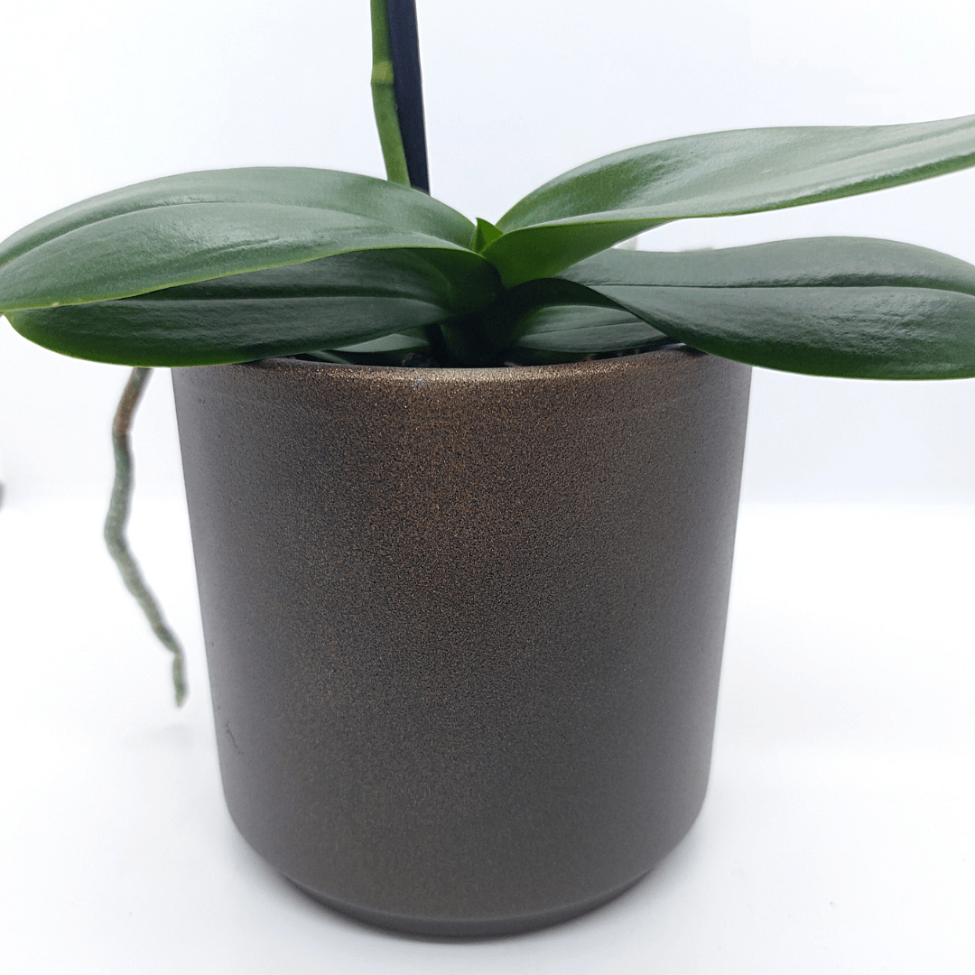 Vaso Ceramica &quot;Capri&quot; - 
