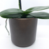 Vaso Ceramica "Capri" - 
