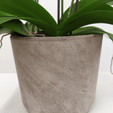 Vaso Ceramica "Etruria" - 