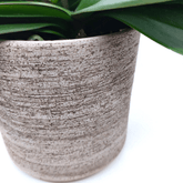 Vaso Ceramica "Etruria" - 