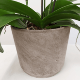 Vaso Ceramica "Etruria" - 