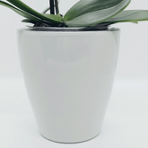 Vaso Ceramica "Milano" - 