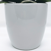 Vaso Ceramica "Milano" - 