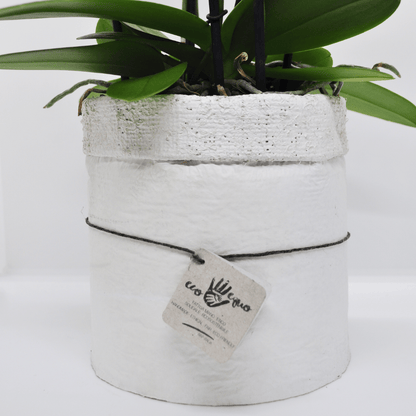 Vaso Collezione &quot;Puglia&quot; - 