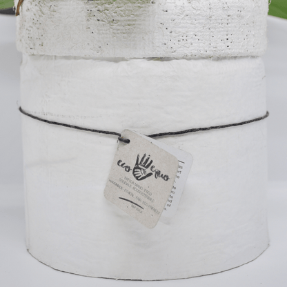 Vaso Collezione &quot;Puglia&quot; - 