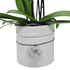 Vaso Collezione "Puglia" - 