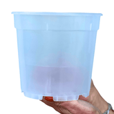 Vaso Plastica trasparente - 